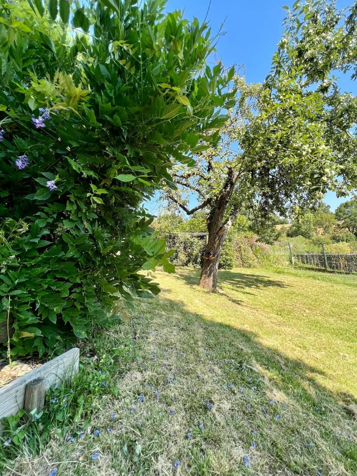 Villa La Baronnie - 11 Pers - Proche Brive -Jardin Ussac Экстерьер фото