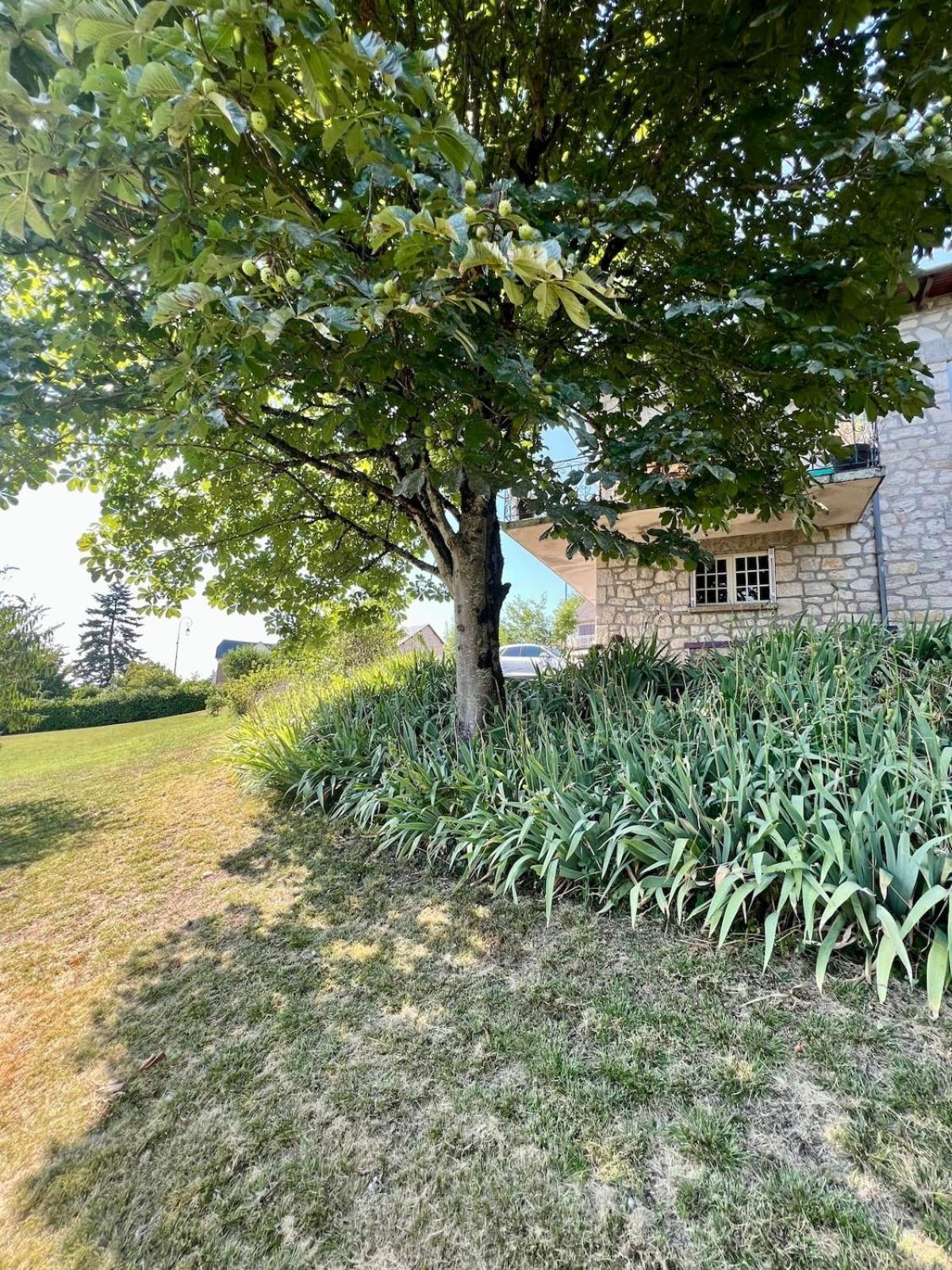 Villa La Baronnie - 11 Pers - Proche Brive -Jardin Ussac Экстерьер фото